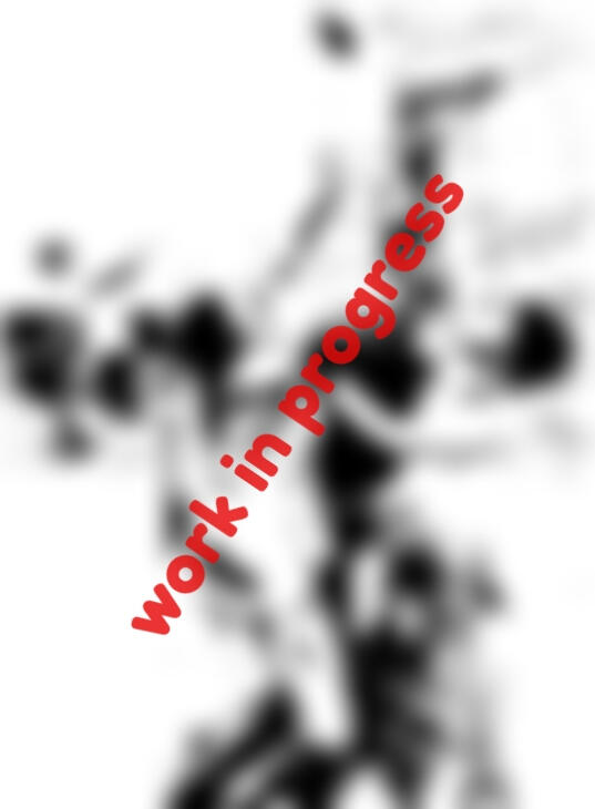 Howzat - expected 2026